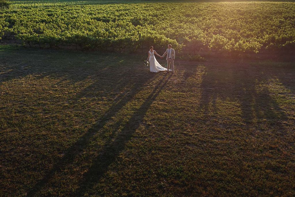 Vineyard Wedding