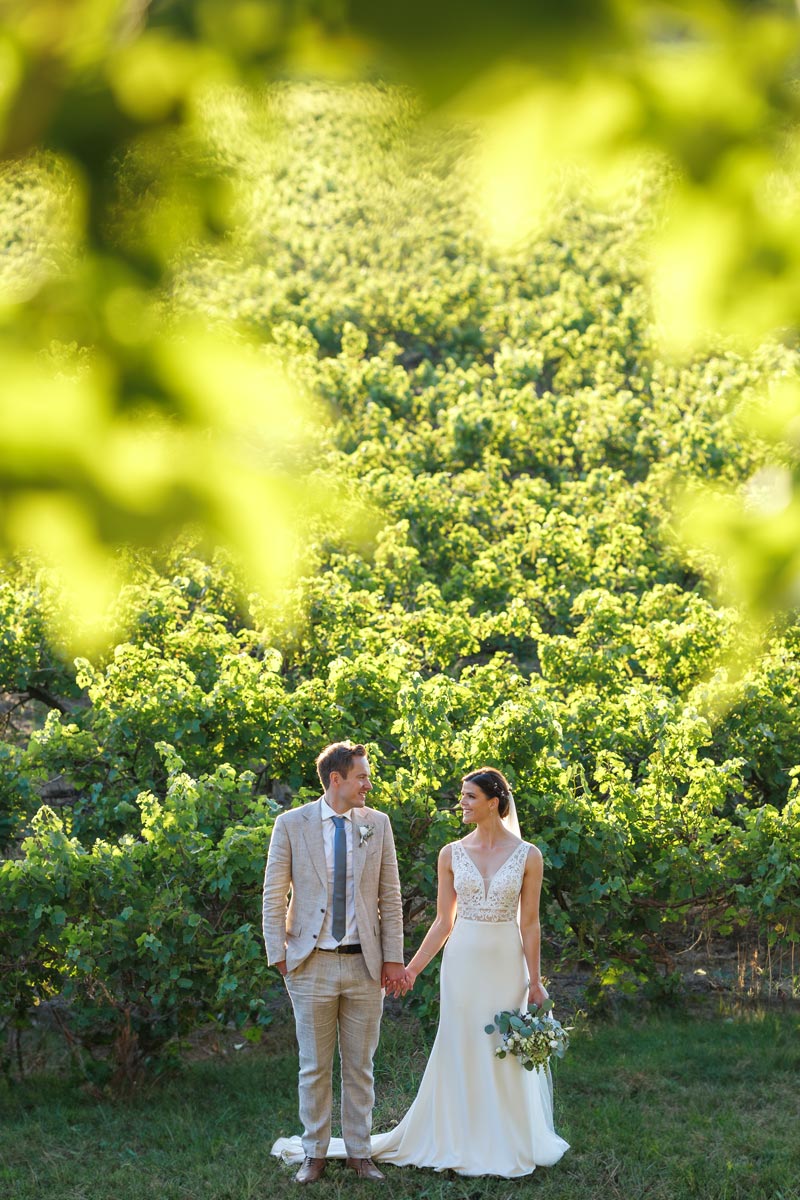 vineyard wedding