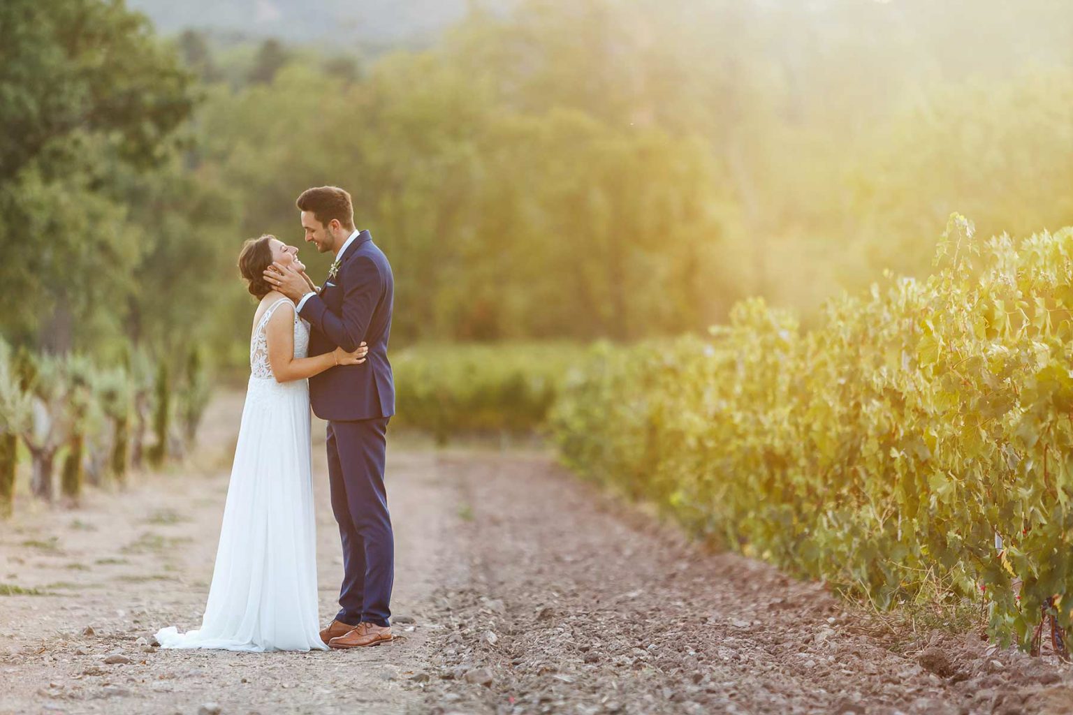 Couple embracing among vineyard rows at a wedding in the South of France