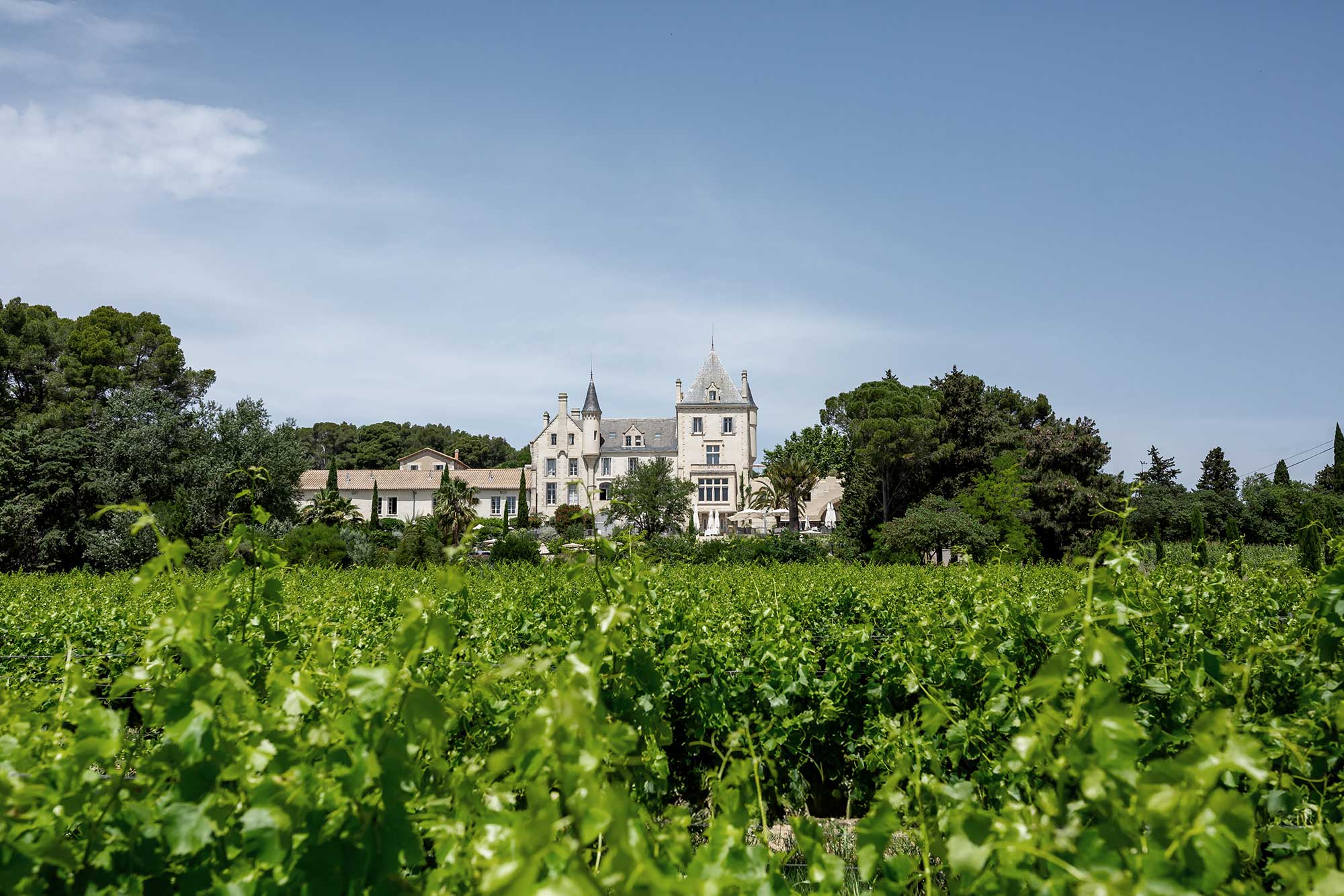 Chateau Carrasses vineyard wedding