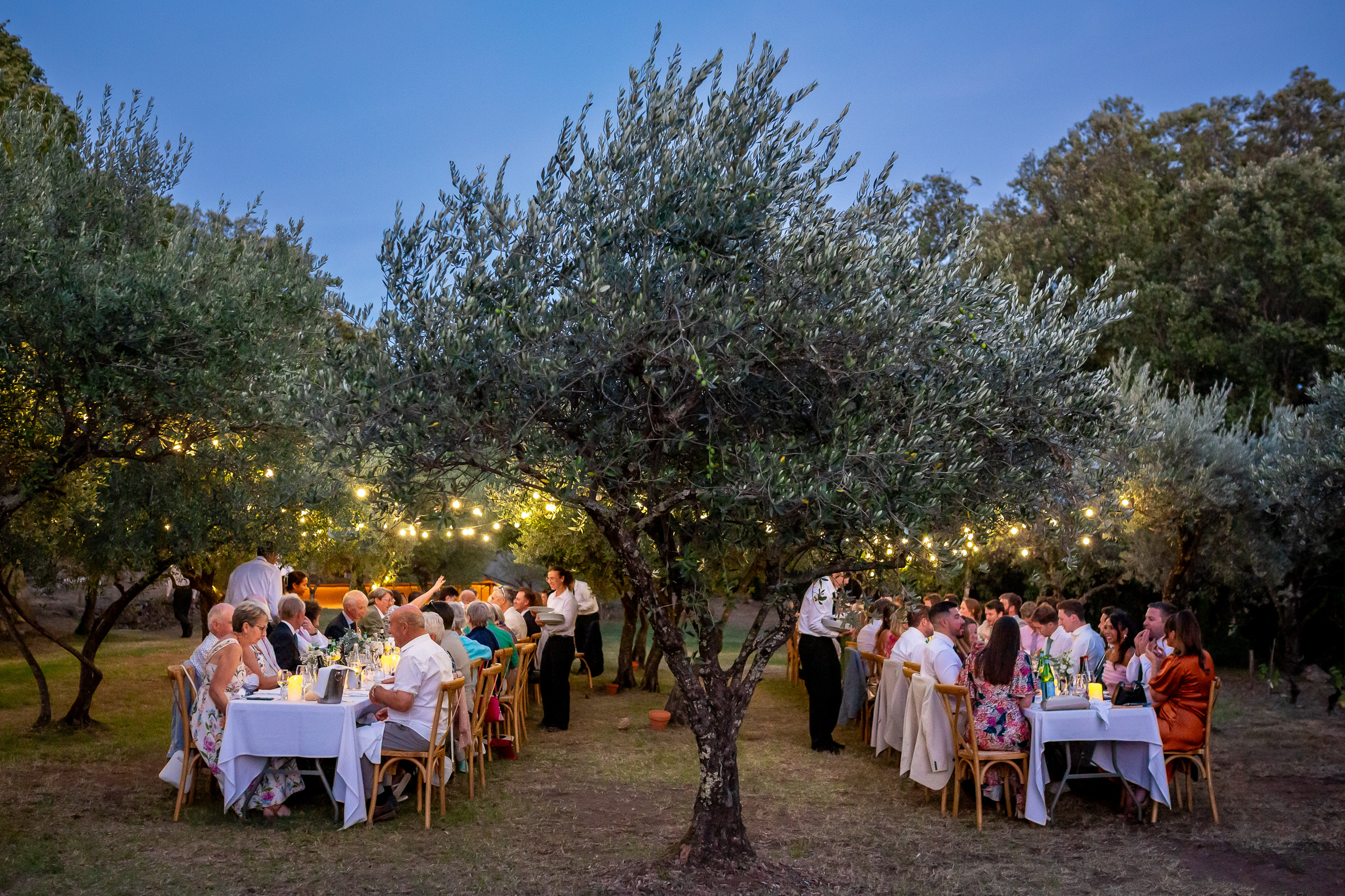 Two long wedding tables beneath the olive trees at Le Domaine du Rey